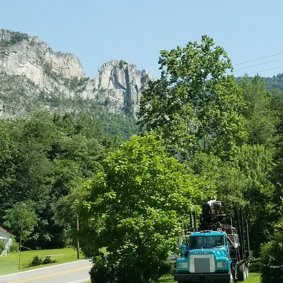 Meet your Posher, Leah - Picture 5 of 6